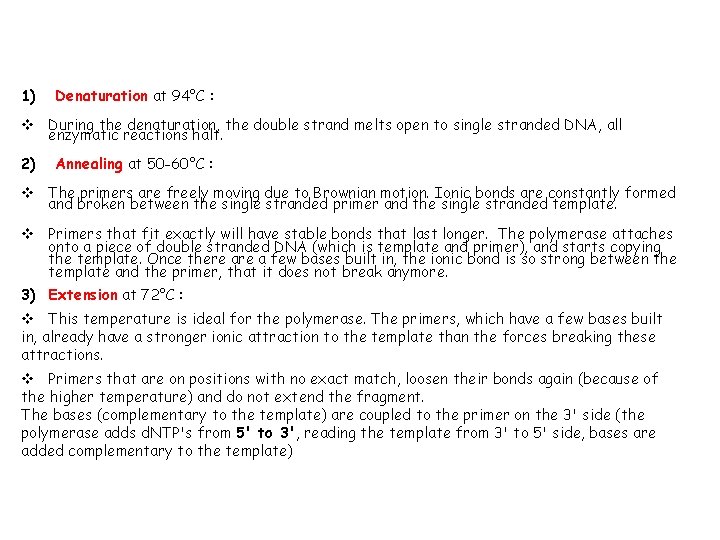 1) Denaturation at 94°C : v During the denaturation, the double strand melts open
