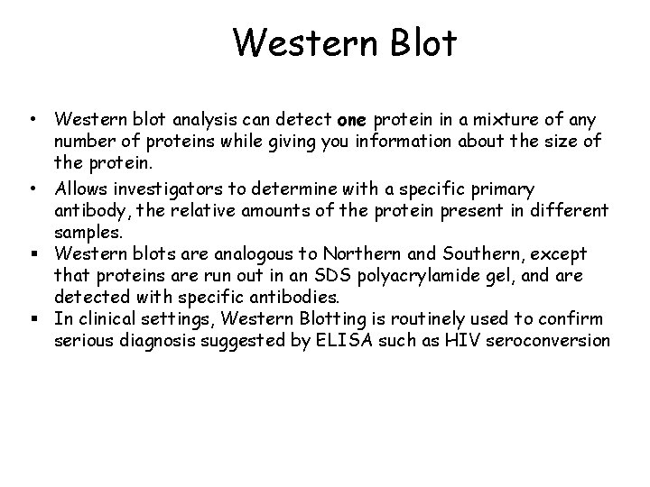 Western Blot • Western blot analysis can detect one protein in a mixture of