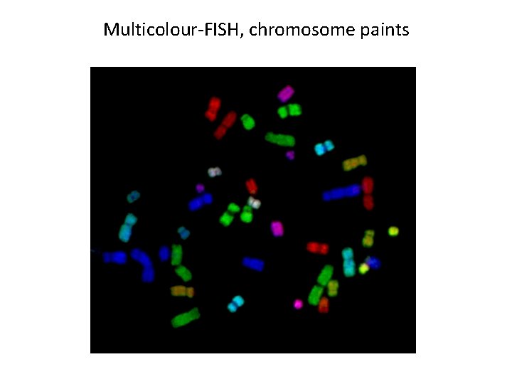 Multicolour-FISH, chromosome paints 