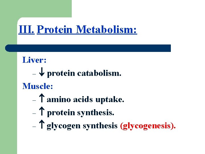III. Protein Metabolism: Liver: – protein catabolism. Muscle: – amino acids uptake. – protein