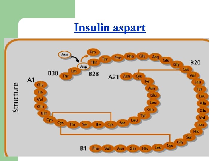 Insulin aspart 