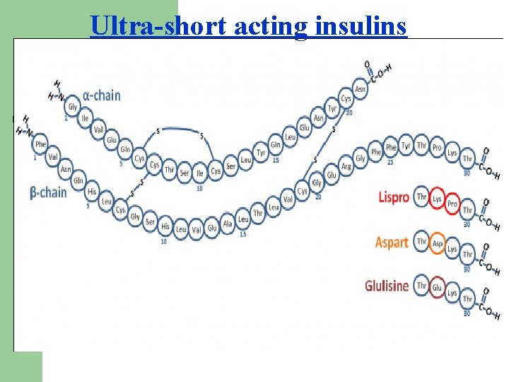 Ultra-short acting insulins 