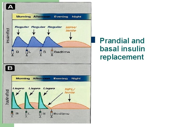 Prandial and basal insulin replacement 