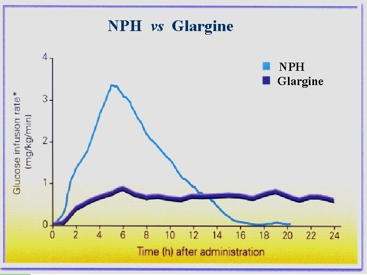 NPH vs Glargine NPH Glargine 