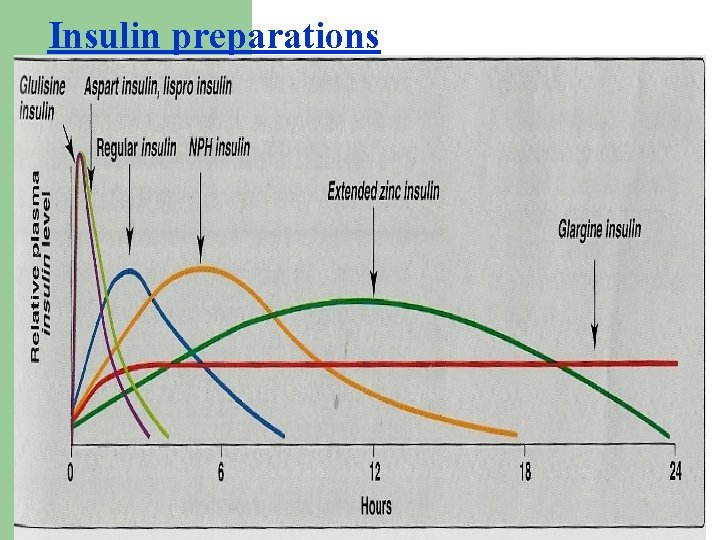 Insulin preparations 