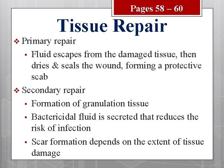 Pages 58 – 60 v Primary Tissue Repair repair • Fluid escapes from the