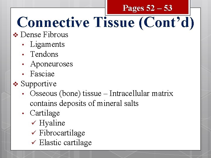 Pages 52 – 53 Connective Tissue (Cont’d) Dense Fibrous • Ligaments • Tendons •