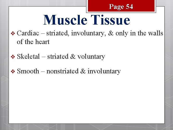 Page 54 Muscle Tissue v Cardiac – striated, involuntary, & only in the walls