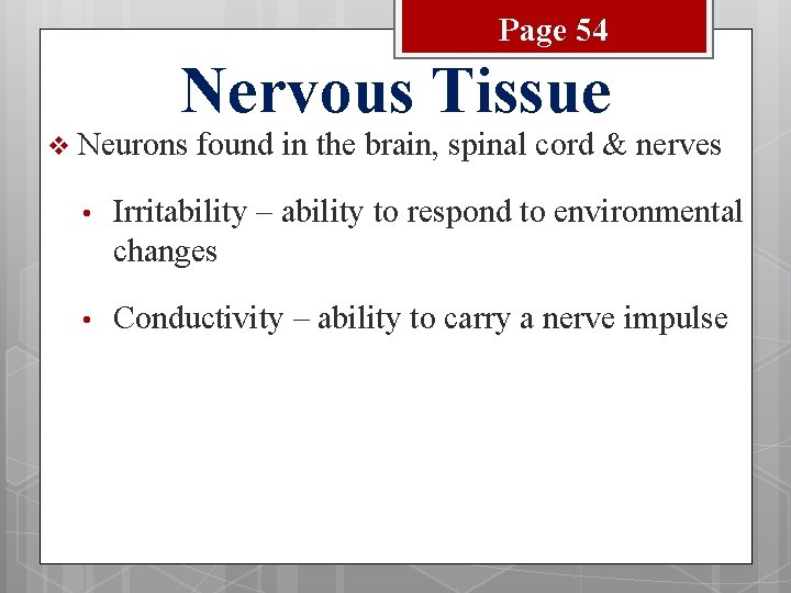 Page 54 Nervous Tissue v Neurons found in the brain, spinal cord & nerves