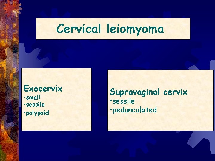 Cervical leiomyoma Exocervix • small • sessile • polypoid Supravaginal cervix • sessile •