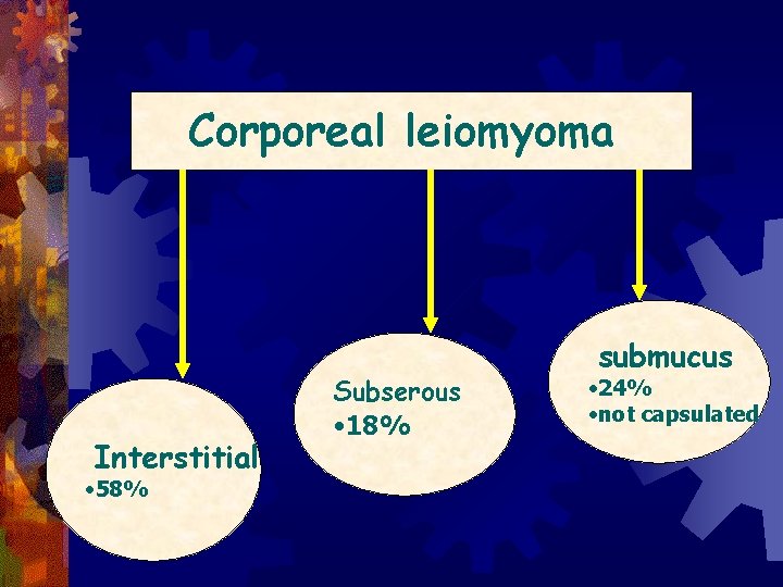 Corporeal leiomyoma Interstitial • 58% Subserous • 18% submucus • 24% • not capsulated