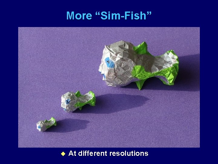 More “Sim-Fish” u At different resolutions 