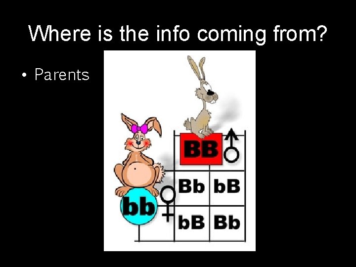 Where is the info coming from? • Parents 
