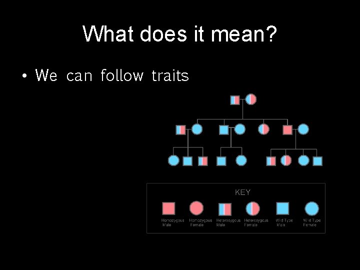 What does it mean? • We can follow traits 