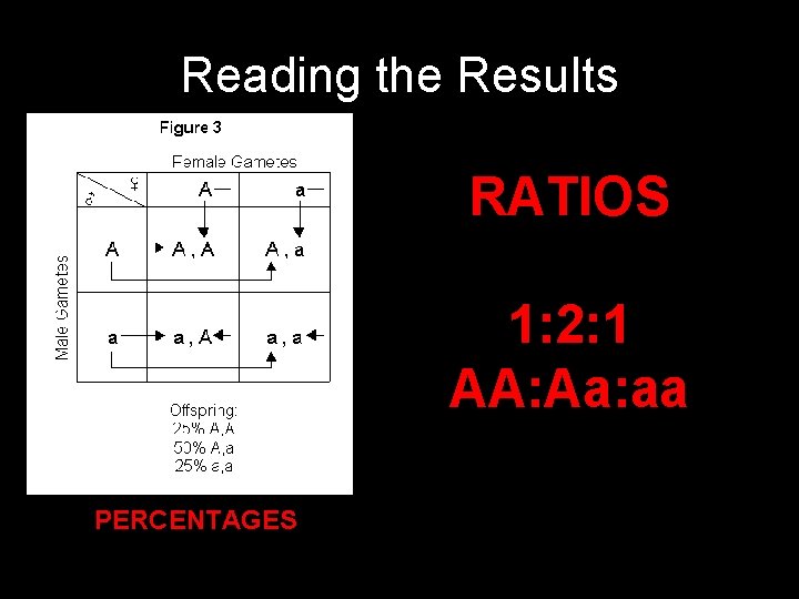 Reading the Results RATIOS 1: 2: 1 AA: Aa: aa PERCENTAGES 