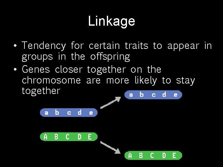 Linkage • Tendency for certain traits to appear in groups in the offspring •