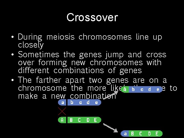 Crossover • During meiosis chromosomes line up closely • Sometimes the genes jump and