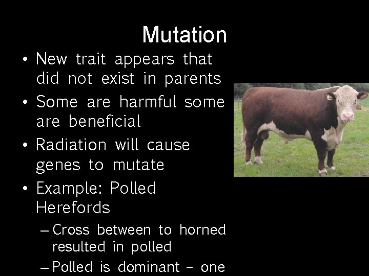 Mutation • New trait appears that did not exist in parents • Some are