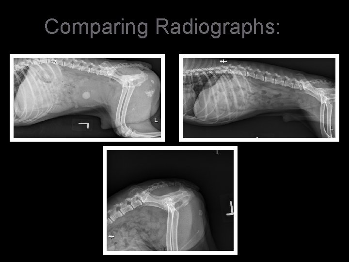 Comparing Radiographs: 