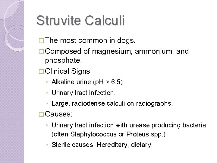 Struvite Calculi � The most common in dogs. � Composed of magnesium, ammonium, and