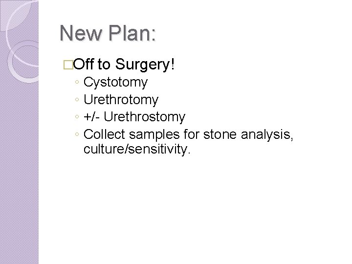 New Plan: �Off ◦ ◦ to Surgery! Cystotomy Urethrotomy +/- Urethrostomy Collect samples for