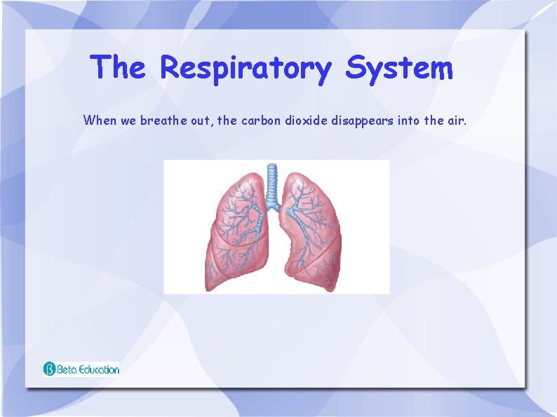 The Respiratory System When we breathe out, the carbon dioxide disappears into the air.