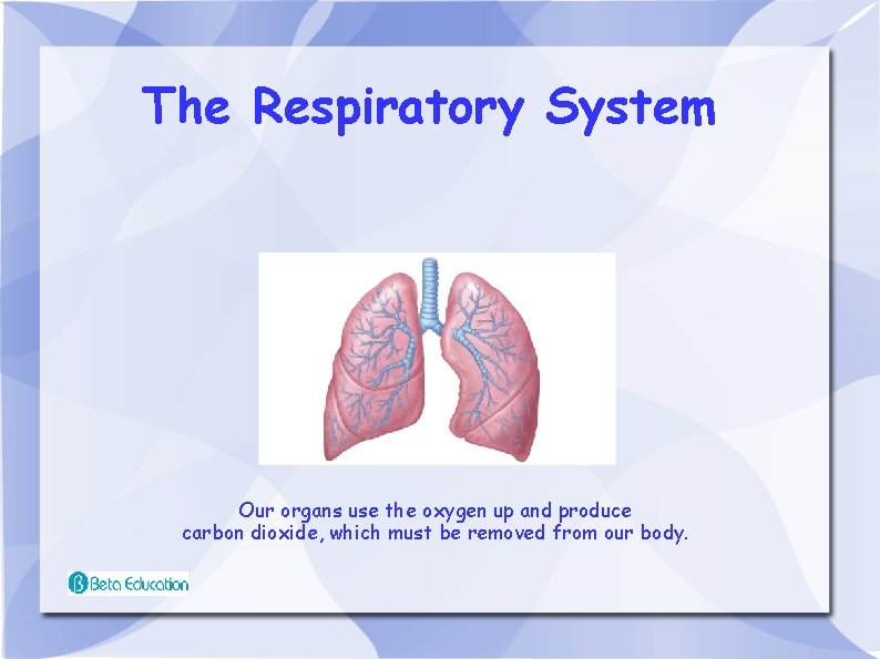 The Respiratory System Our organs use the oxygen up and produce carbon dioxide, which