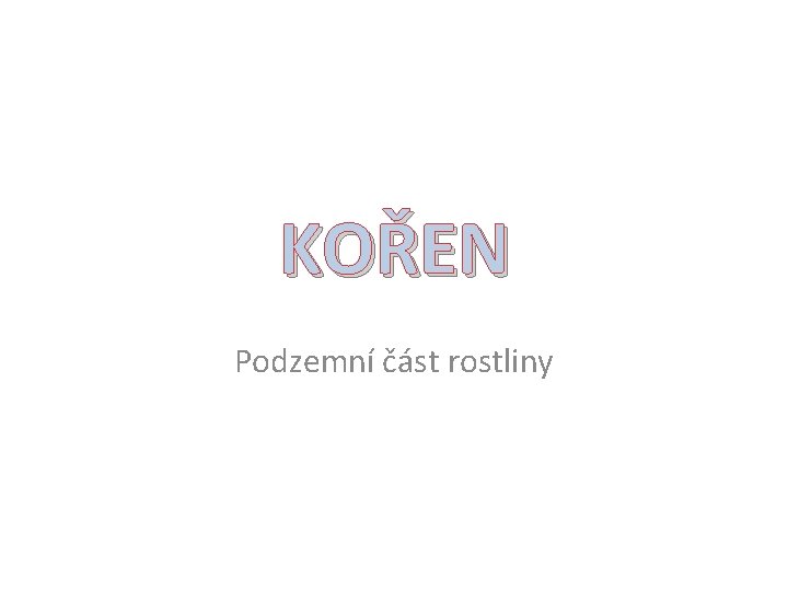 KOŘEN Podzemní část rostliny 