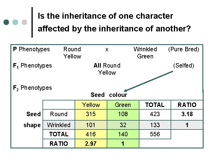 Is the inheritance of one character affected by the inheritance of another? P Phenotypes