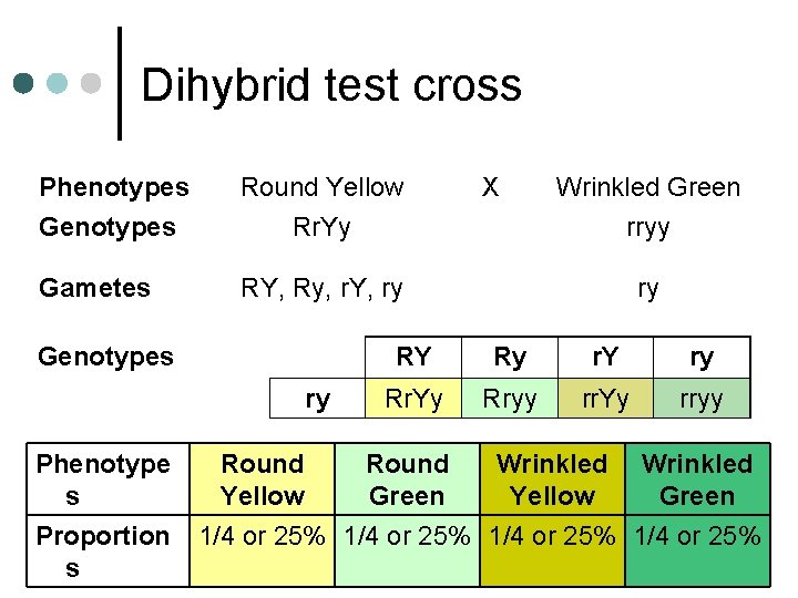 Dihybrid test cross Phenotypes Genotypes Round Yellow Rr. Yy Gametes RY, Ry, r. Y,