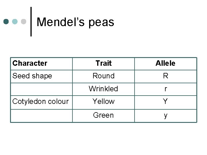 Mendel’s peas Character Seed shape Cotyledon colour Trait Allele Round R Wrinkled r Yellow