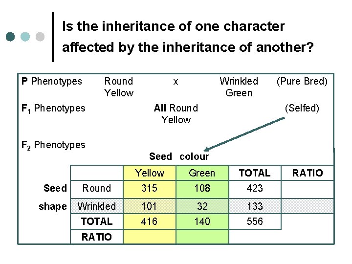 Is the inheritance of one character affected by the inheritance of another? P Phenotypes