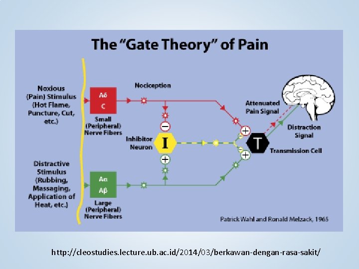http: //cleostudies. lecture. ub. ac. id/2014/03/berkawan-dengan-rasa-sakit/ 