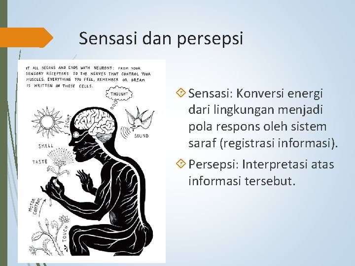 Sensasi dan persepsi Sensasi: Konversi energi dari lingkungan menjadi pola respons oleh sistem saraf