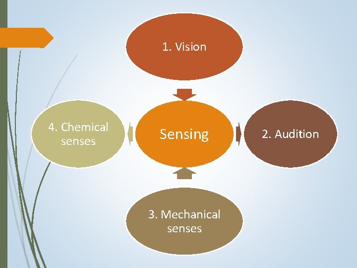 1. Vision 4. Chemical senses Sensing 3. Mechanical senses 2. Audition 