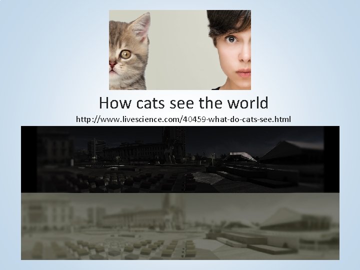How cats see the world http: //www. livescience. com/40459 -what-do-cats-see. html 