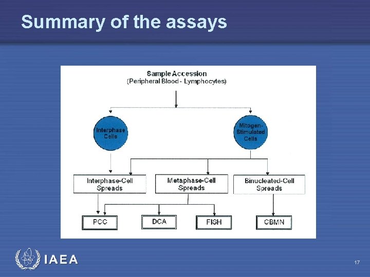 Summary of the assays IAEA 17 