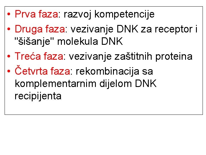  • Prva faza: razvoj kompetencije • Druga faza: vezivanje DNK za receptor i