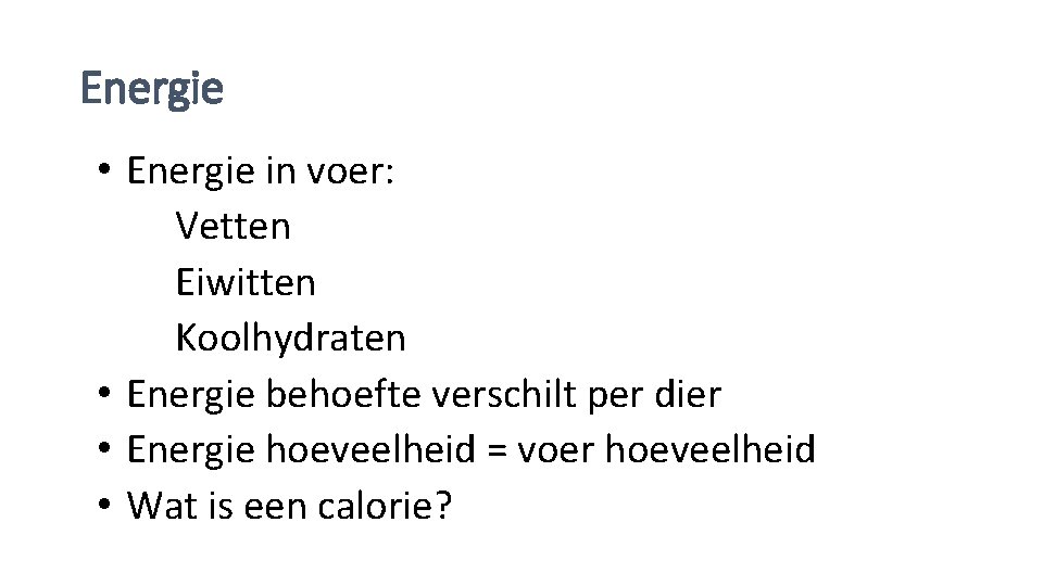 Energie • Energie in voer: Vetten Eiwitten Koolhydraten • Energie behoefte verschilt per dier