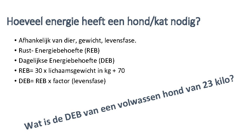 Hoeveel energie heeft een hond/kat nodig? • Afhankelijk van dier, gewicht, levensfase. • Rust-