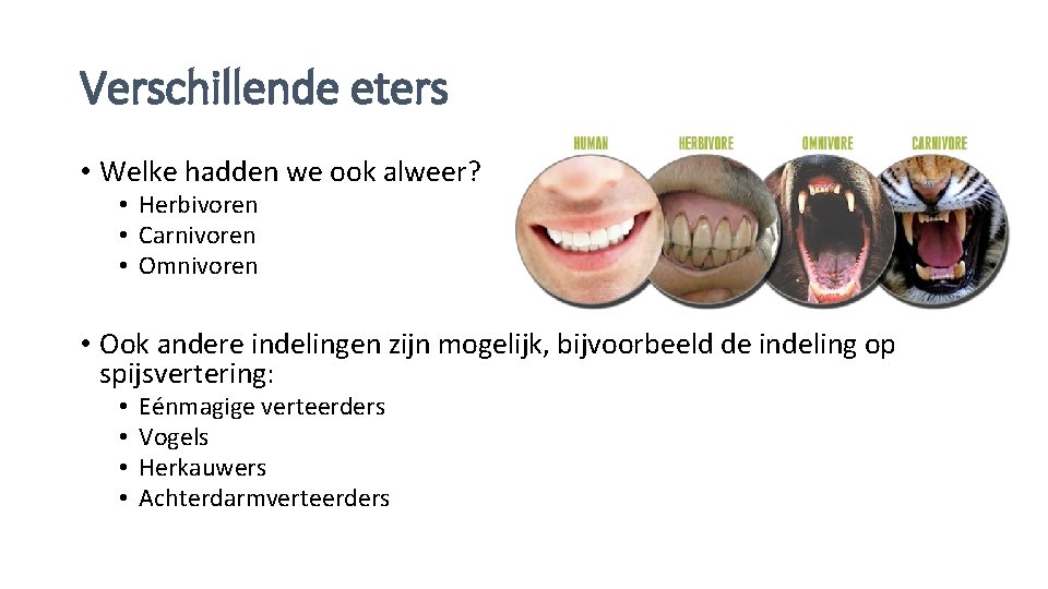 Verschillende eters • Welke hadden we ook alweer? • Herbivoren • Carnivoren • Omnivoren