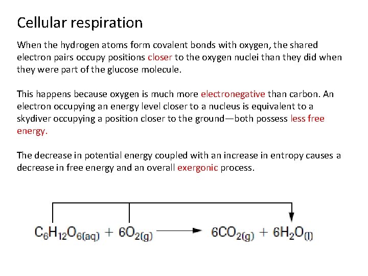 Cellular respiration When the hydrogen atoms form covalent bonds with oxygen, the shared electron