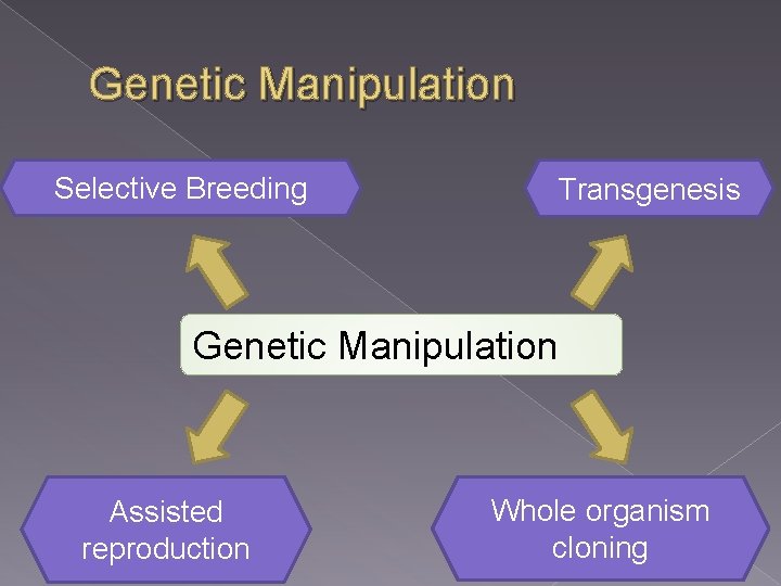 Genetic Manipulation Selective Breeding Transgenesis Genetic Manipulation Assisted reproduction Whole organism cloning 