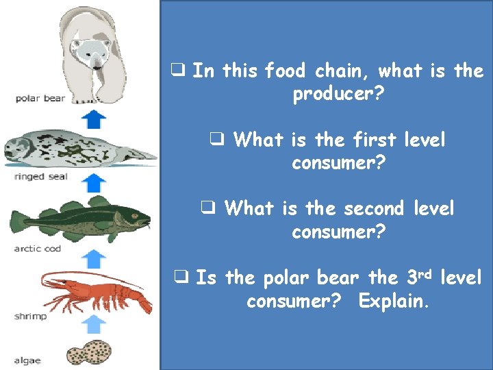 ❑ In this food chain, what is the producer? ❑ What is the first