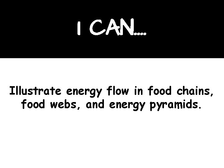I CAN…. Illustrate energy flow in food chains, food webs, and energy pyramids. 