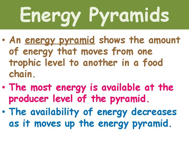 Energy Pyramids • An energy pyramid shows the amount of energy that moves from