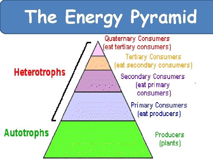 The Energy Pyramid 