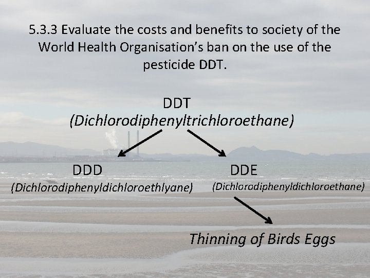 5. 3. 3 Evaluate the costs and benefits to society of the World Health