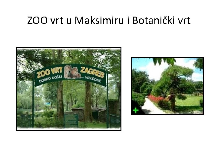 ZOO vrt u Maksimiru i Botanički vrt 