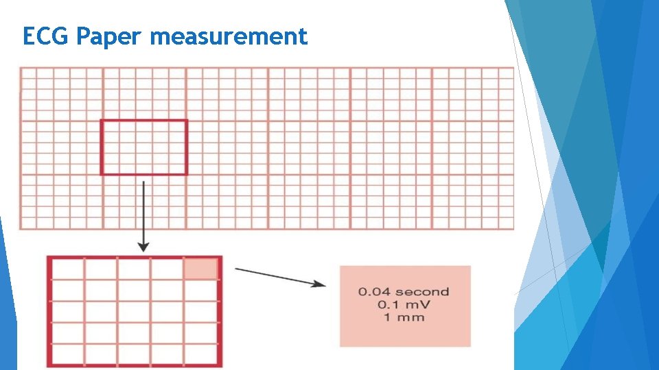 ECG Paper measurement 